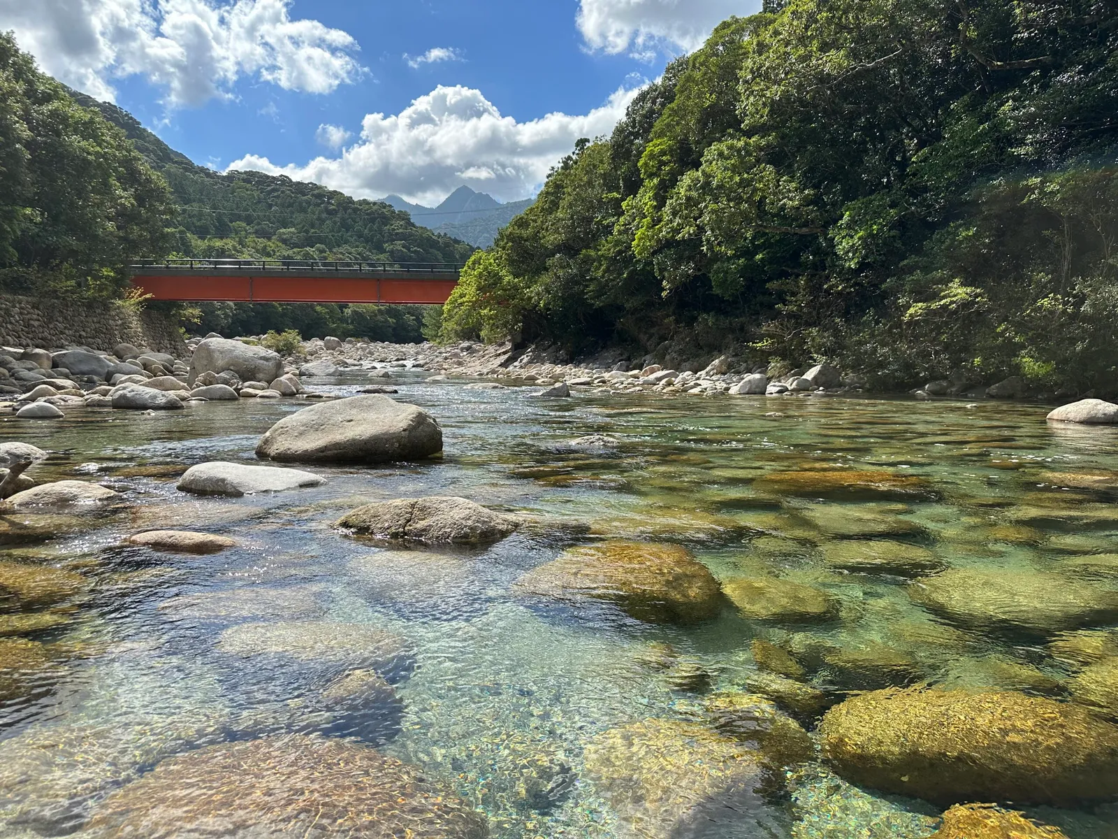 屋久島の川