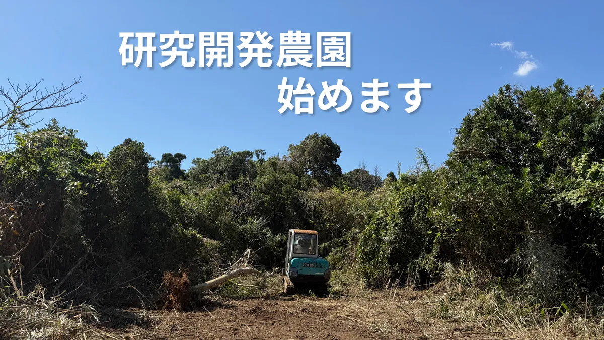 研究開発農園、始めます